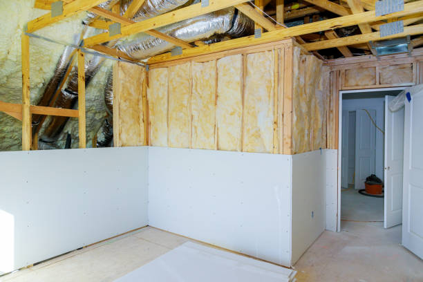 Insulation Repair Services in Coldwater, MS
