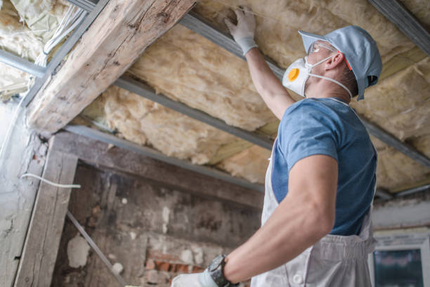 Best Insulation Repair Services  in Coldwater, MS
