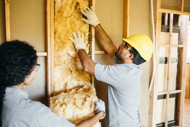 Best Attic Insulation Installation  in Coldwater, MS