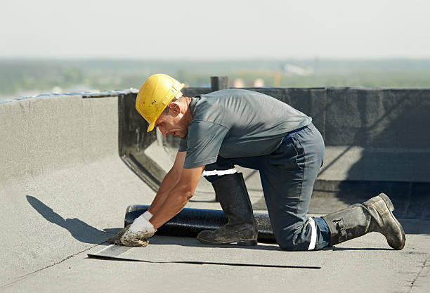 Best Attic Insulation Installation  in Coldwater, MS