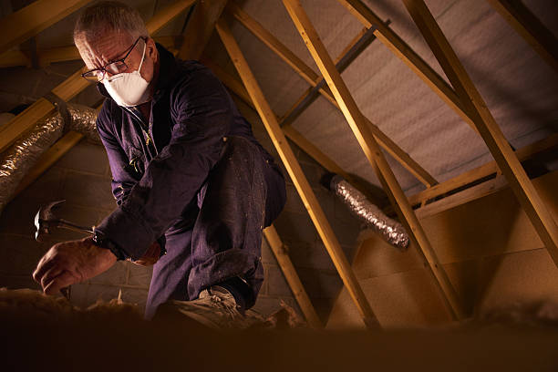 Best Wall Insulation Contractor  in Coldwater, MS